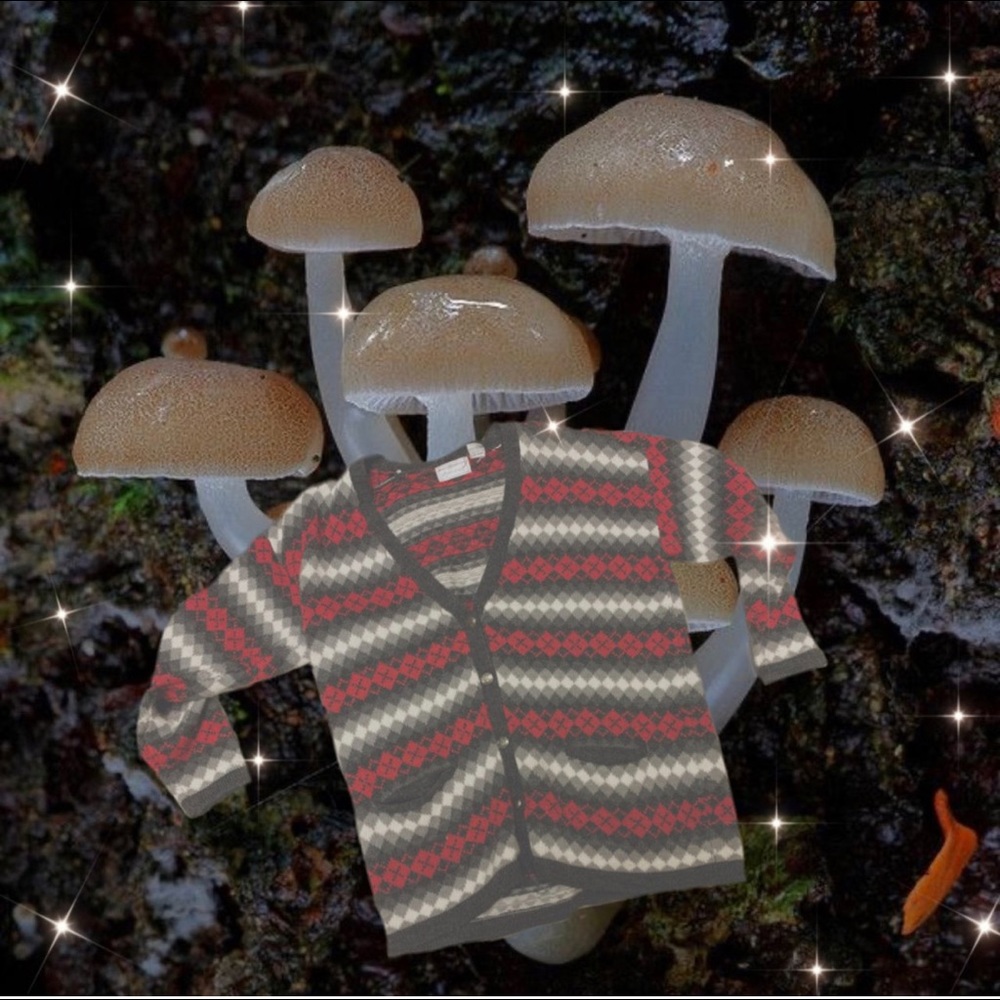 ‼️SOLD‼️🐞🕸grunge 90’s sweater